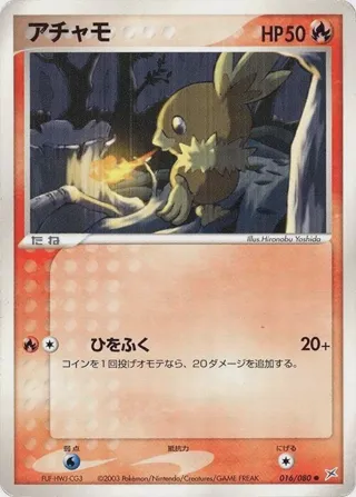 Torchic
