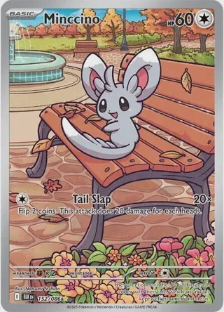 Minccino - 152/086