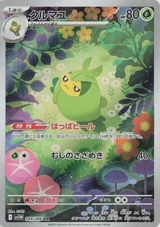 Swadloon - 088/086