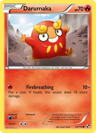 Darumaka (23)