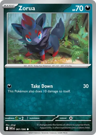 Zorua (Master Ball Pattern)