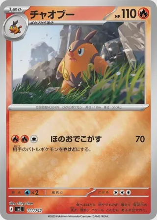 Pignite - 111/742 (Mirror Holo)