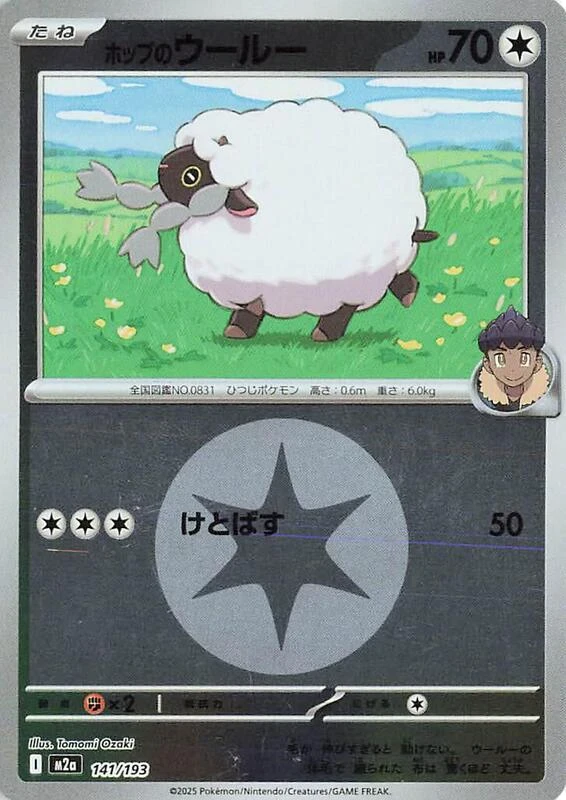 Hop's Wooloo (Energy Symbol Pattern)