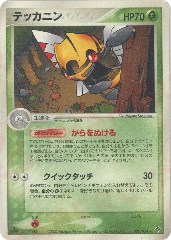 Ninjask
