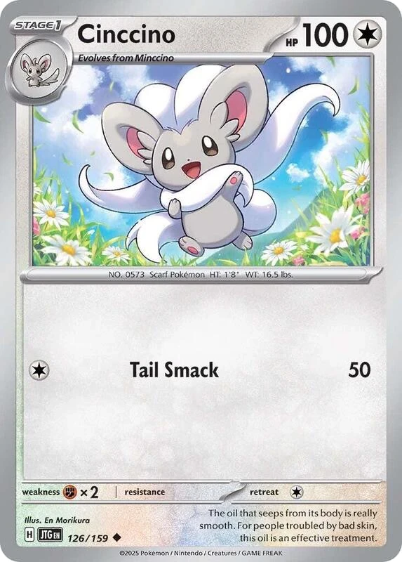 Cinccino