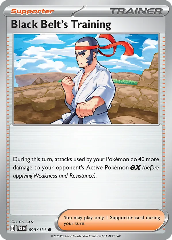 Black Belt's Training (Poke Ball Pattern)