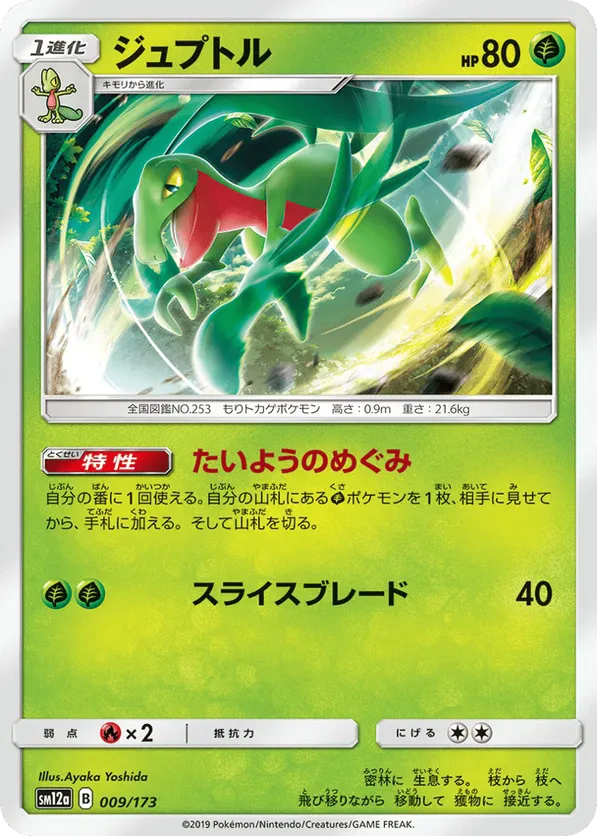 Grovyle (Mirror Holofoil)