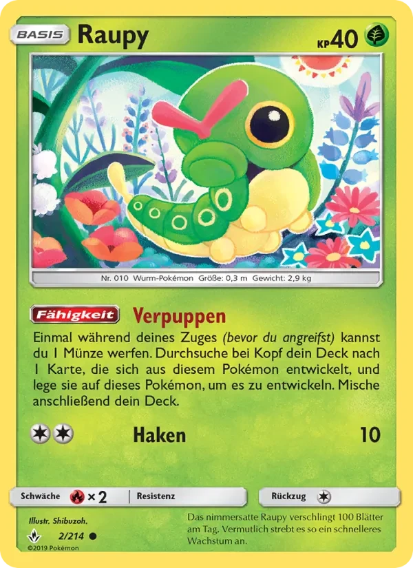 Raupy