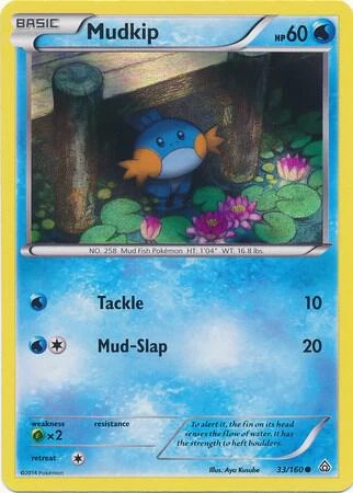 Mudkip - 33/160 (Sheen Holo)