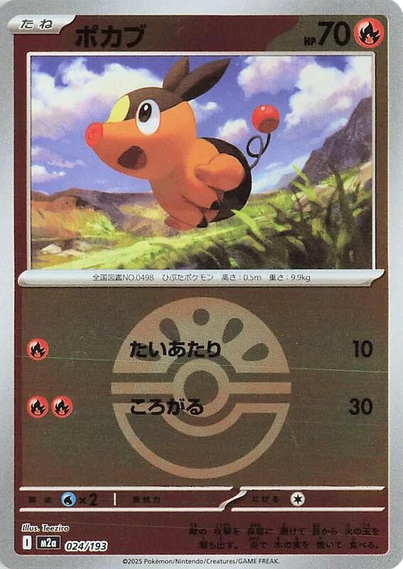 Tepig (Friend Ball Pattern)