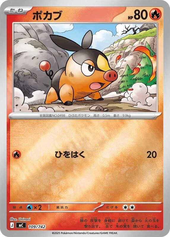 Tepig - 109/742 (Mirror Holo)