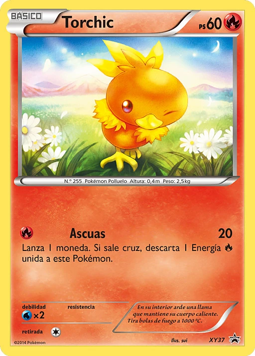 Torchic