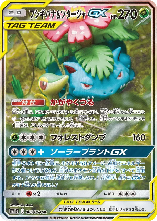 Venusaur & Snivy GX