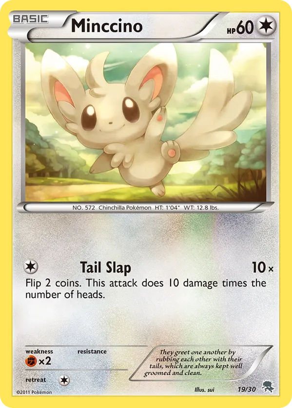 Minccino (#19)