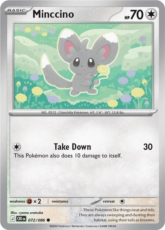 Minccino