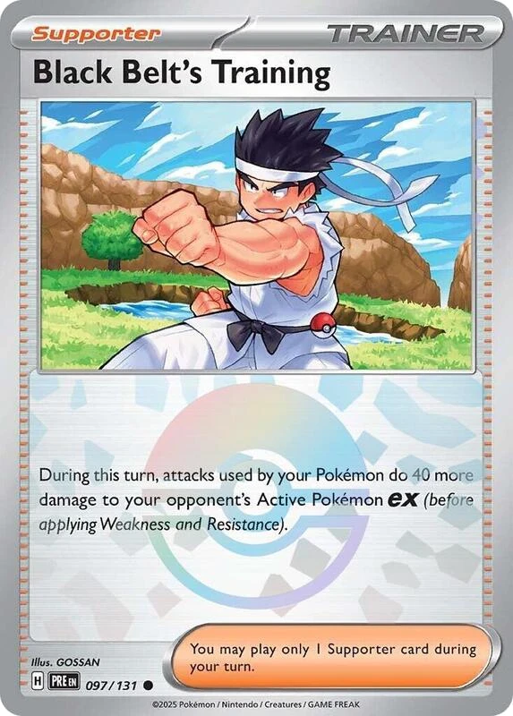 Black Belt's Training - 097/131 (Poke Ball Pattern)