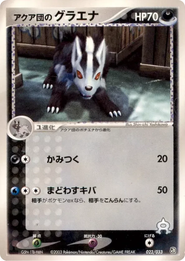 Team Aqua's Mightyena