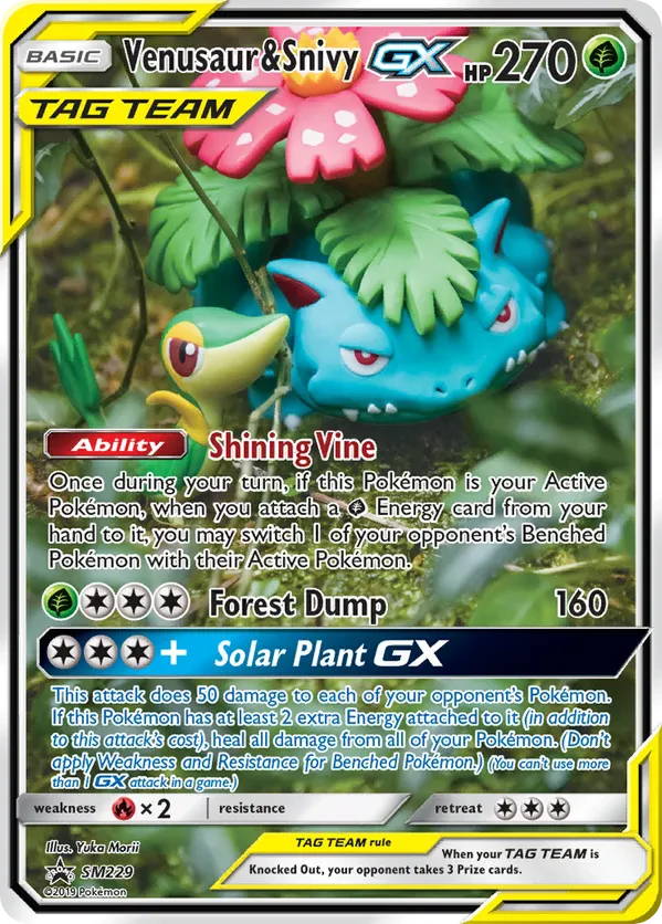 Venusaur & Snivy GX