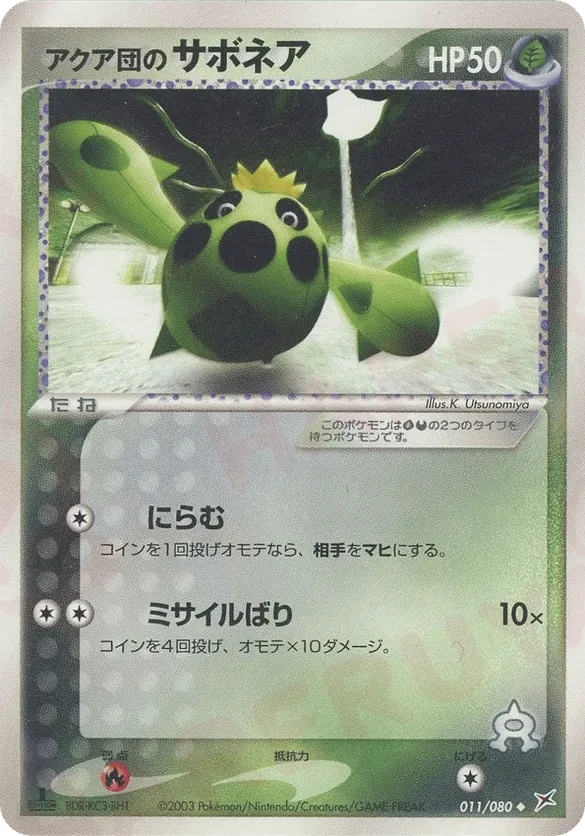 Team Aqua's Cacnea