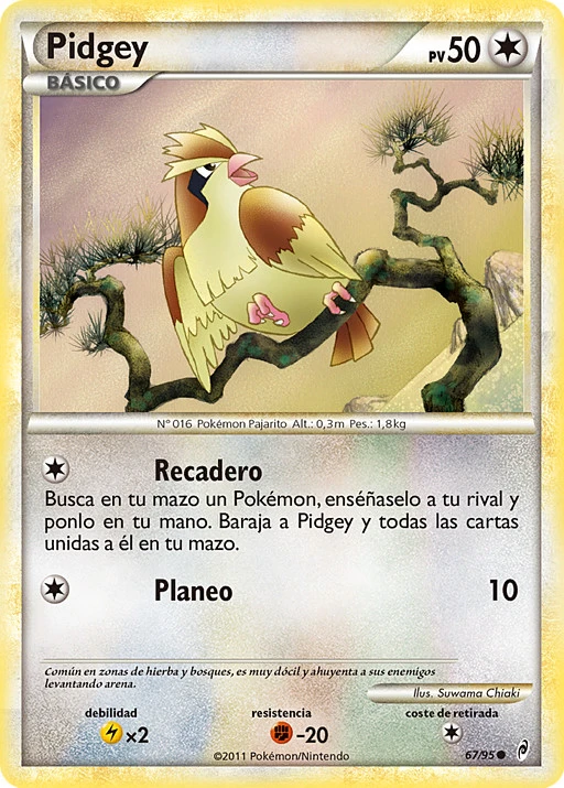 Pidgey