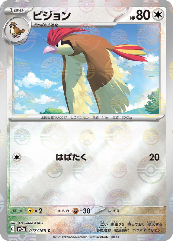 Pidgeotto (Poke Ball Pattern)