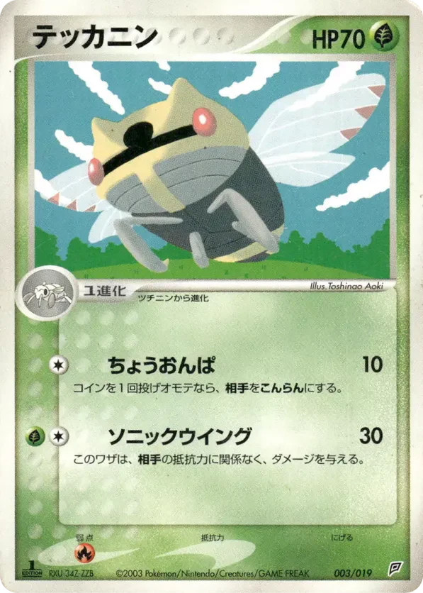 Ninjask
