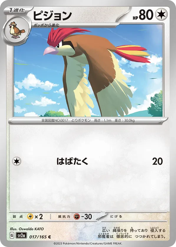 Pidgeotto (Master Ball Pattern)