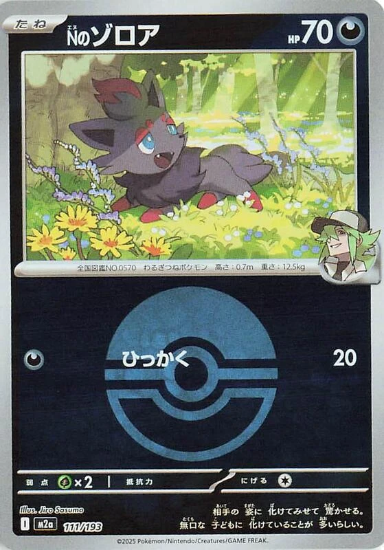 N's Zorua (Poke Ball Pattern)