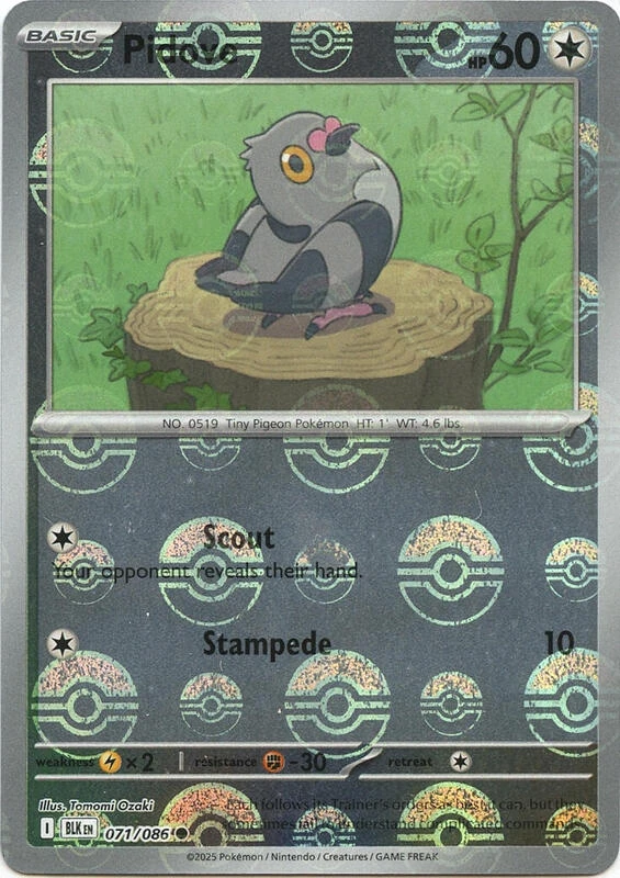 Pidove (Poke Ball Pattern)