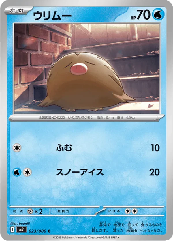 Swinub