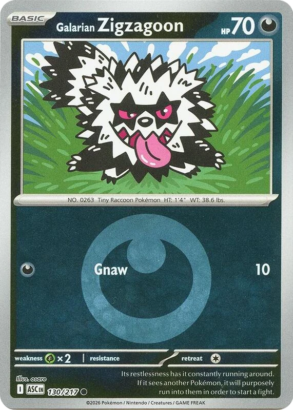 Galarian Zigzagoon (Energy Symbol Pattern)