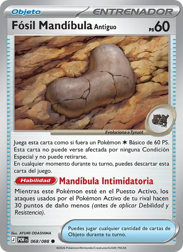 Fósil Mandíbula Antiguo