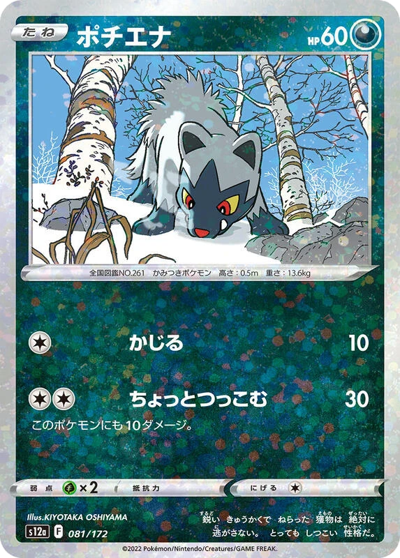 Poochyena - 081/172 (Mirror Holofoil)