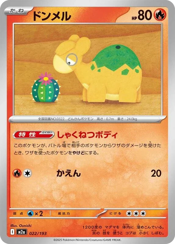 Numel - 022/193