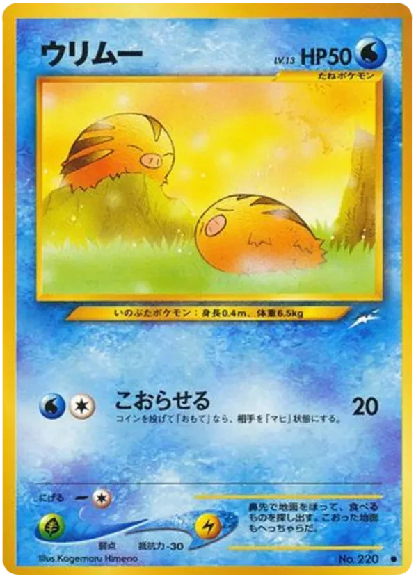 Swinub