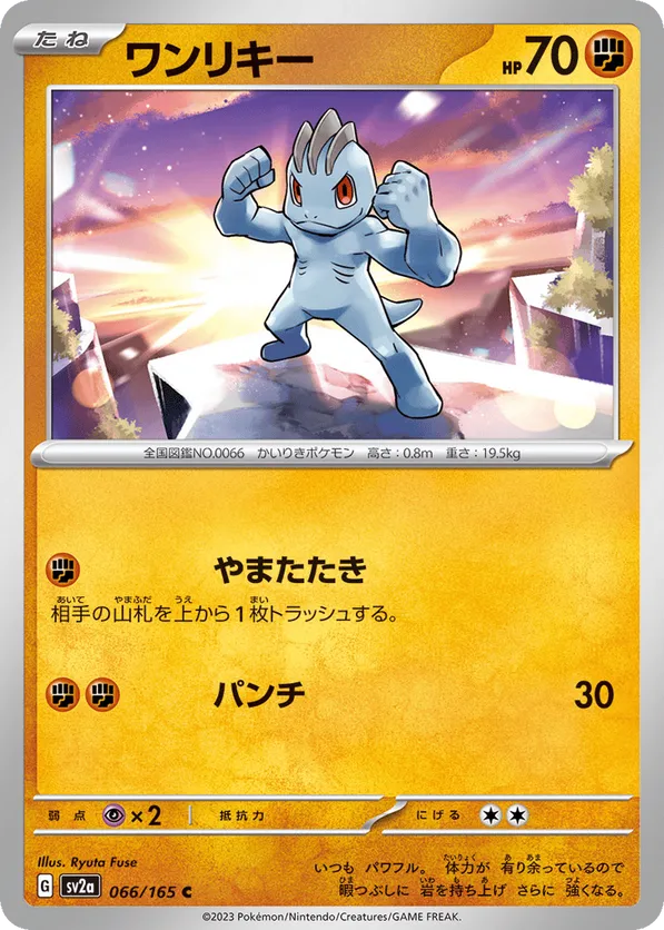 Machop (Master Ball Pattern)