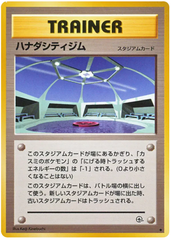 Cerulean City Gym