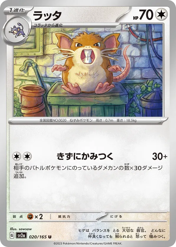 Raticate (Master Ball Pattern)
