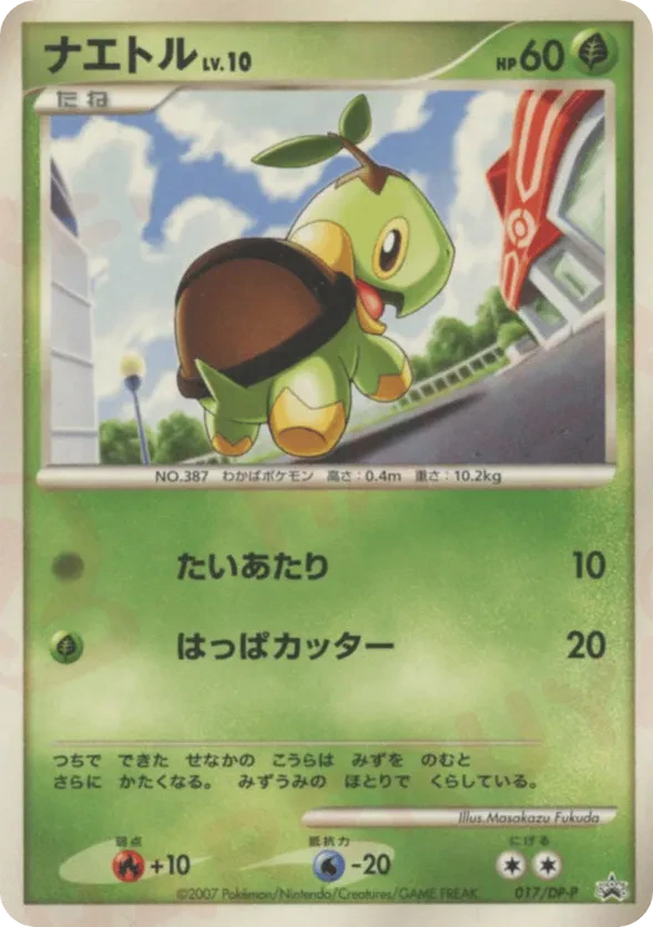 Turtwig