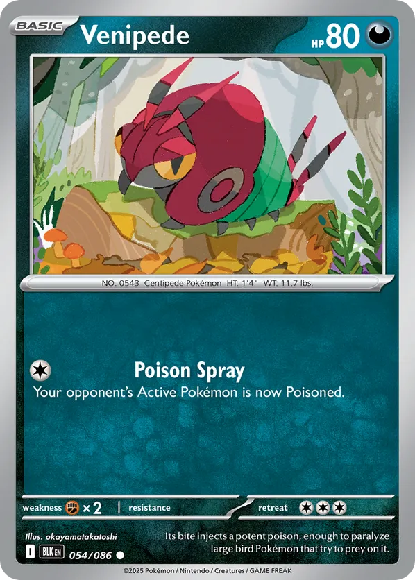 Venipede (Master Ball Pattern)