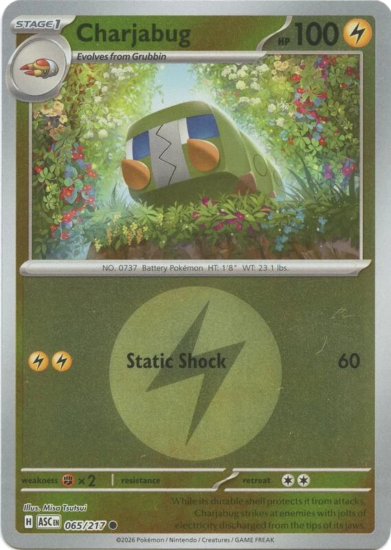Charjabug (Energy Symbol Pattern)