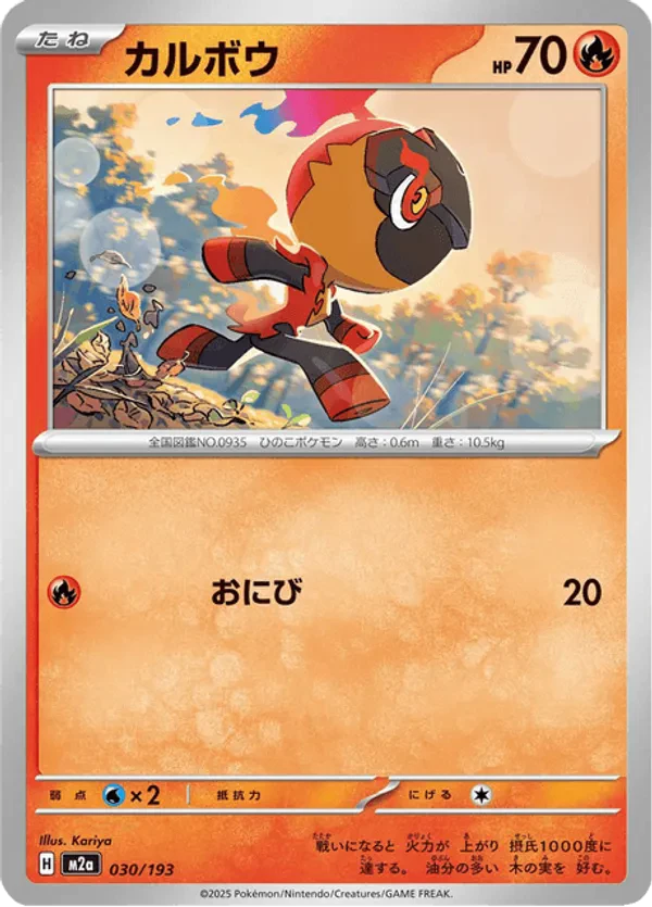 Charcadet (Friend Ball Pattern)