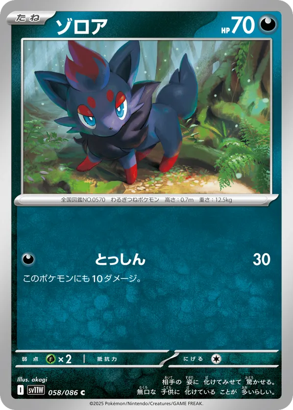 Zorua - 058/086 (Master Ball Pattern)