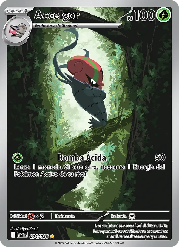 Accelgor