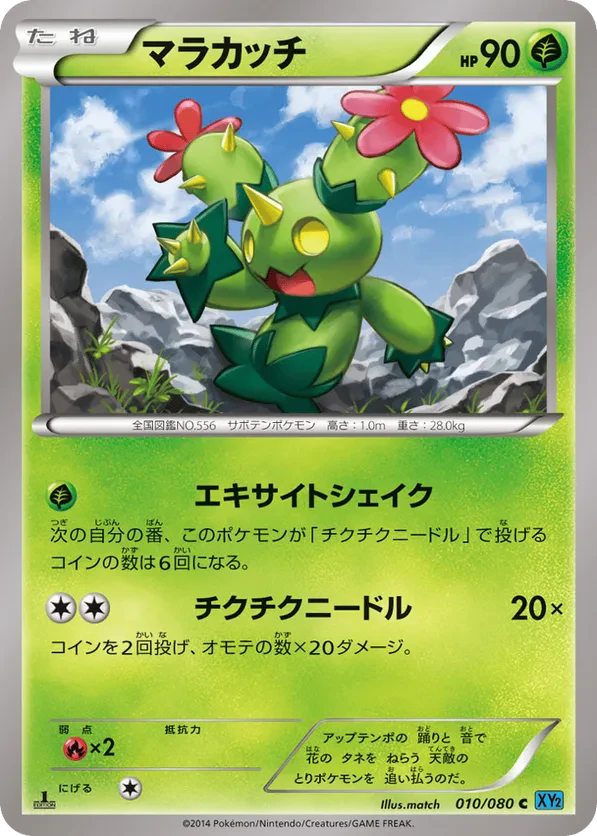 Maractus