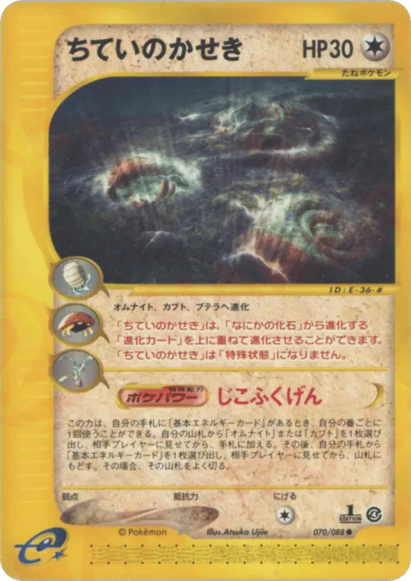 Buried Fossil