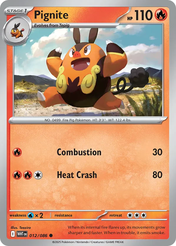 Pignite (Master Ball Pattern)