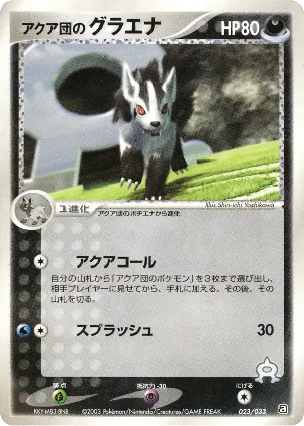 Team Aqua's Mightyena