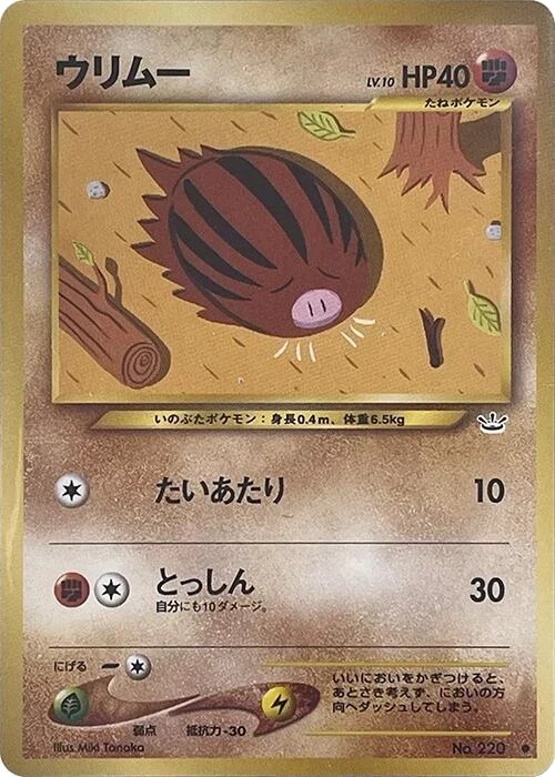 Swinub
