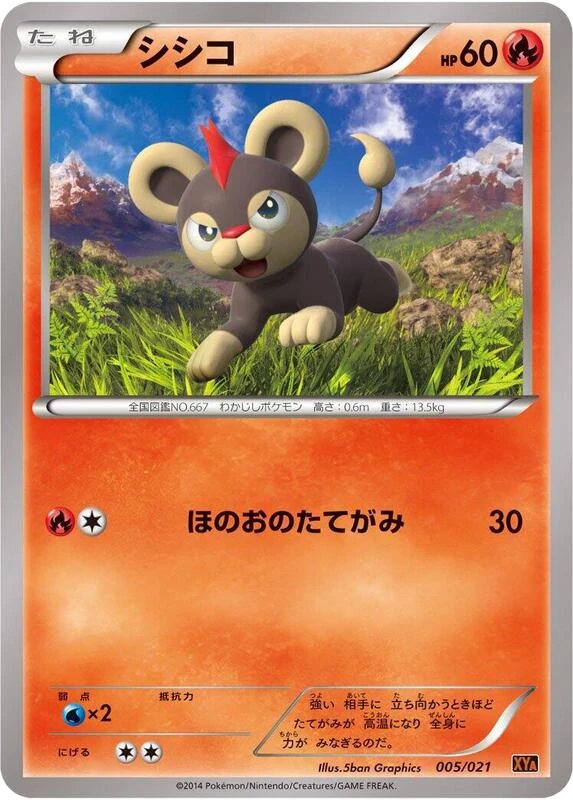 Litleo